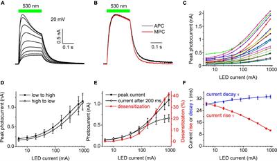 Biophysical characterization of light-gated ion channels using planar automated patch clamp